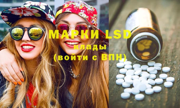 шишки Алзамай