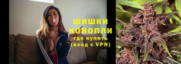 шишки Алзамай