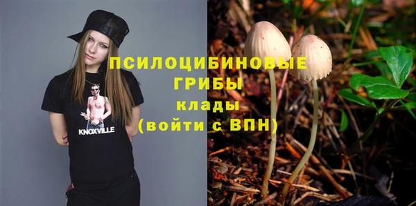 spice Алексин