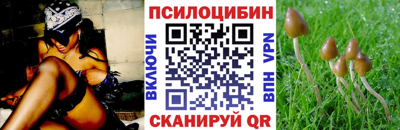 Галлюциногенные грибы Psilocybe  площадка Telegram  Мыски 