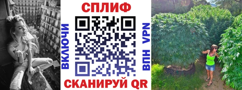 Бошки марихуана планчик  где можно купить   Мыски 